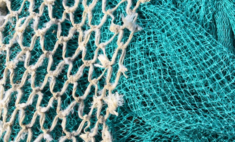 white and blue net