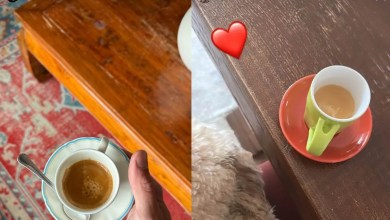 Tra Stefano de Martino e Alessia Marcuzzi