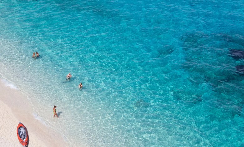 people on beach during daytime