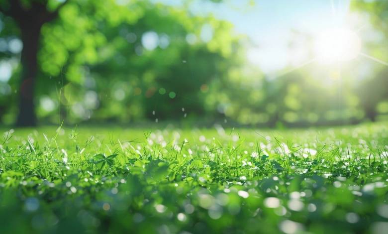 ai generated, grass, dewdrops