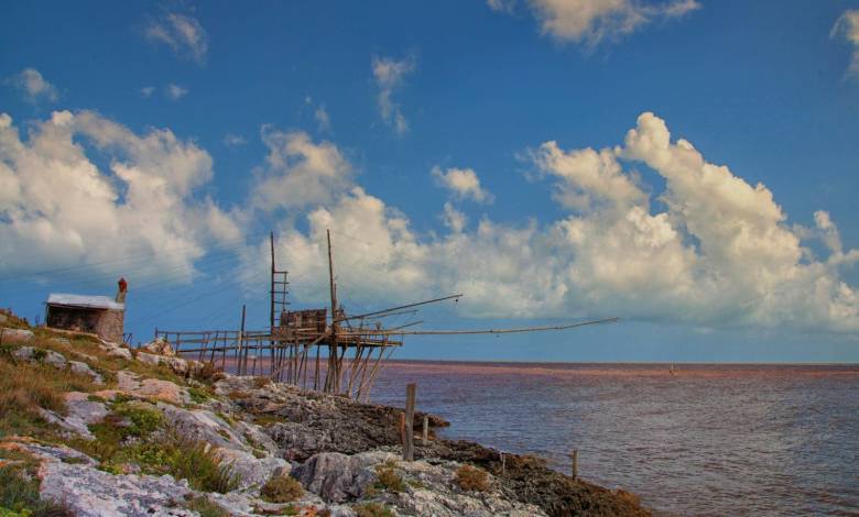 brown wooden dock on sea under blue sky and white clouds during daytime