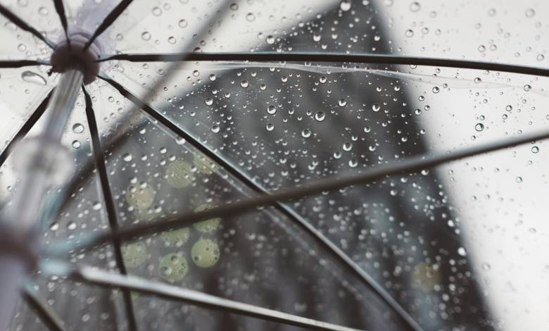 clear umbrella with water dews