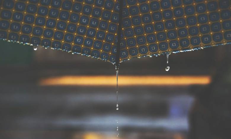water drop on umbrella in close-up photography