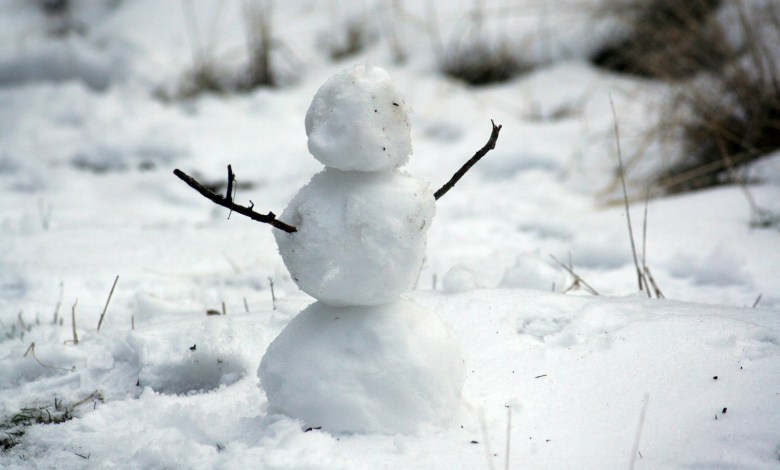 photo of snowman with stick hands on snow filed
