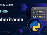 Python Intensity Coding