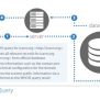 What Is WHOIS And How Does It Work? (+ Tips On Free Domain Privacy)