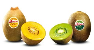 Mejorar la salud-kiwi