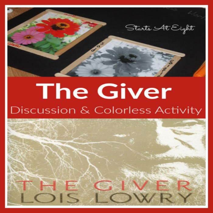 The giver book discussion questions
