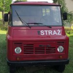 Twarz Żuka