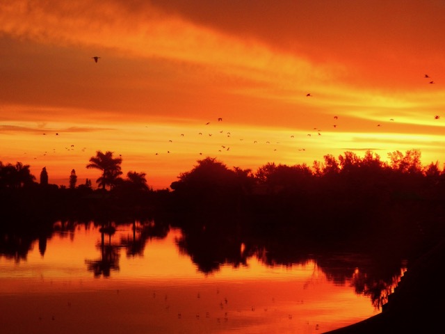 Southwest Florida Sunrise.