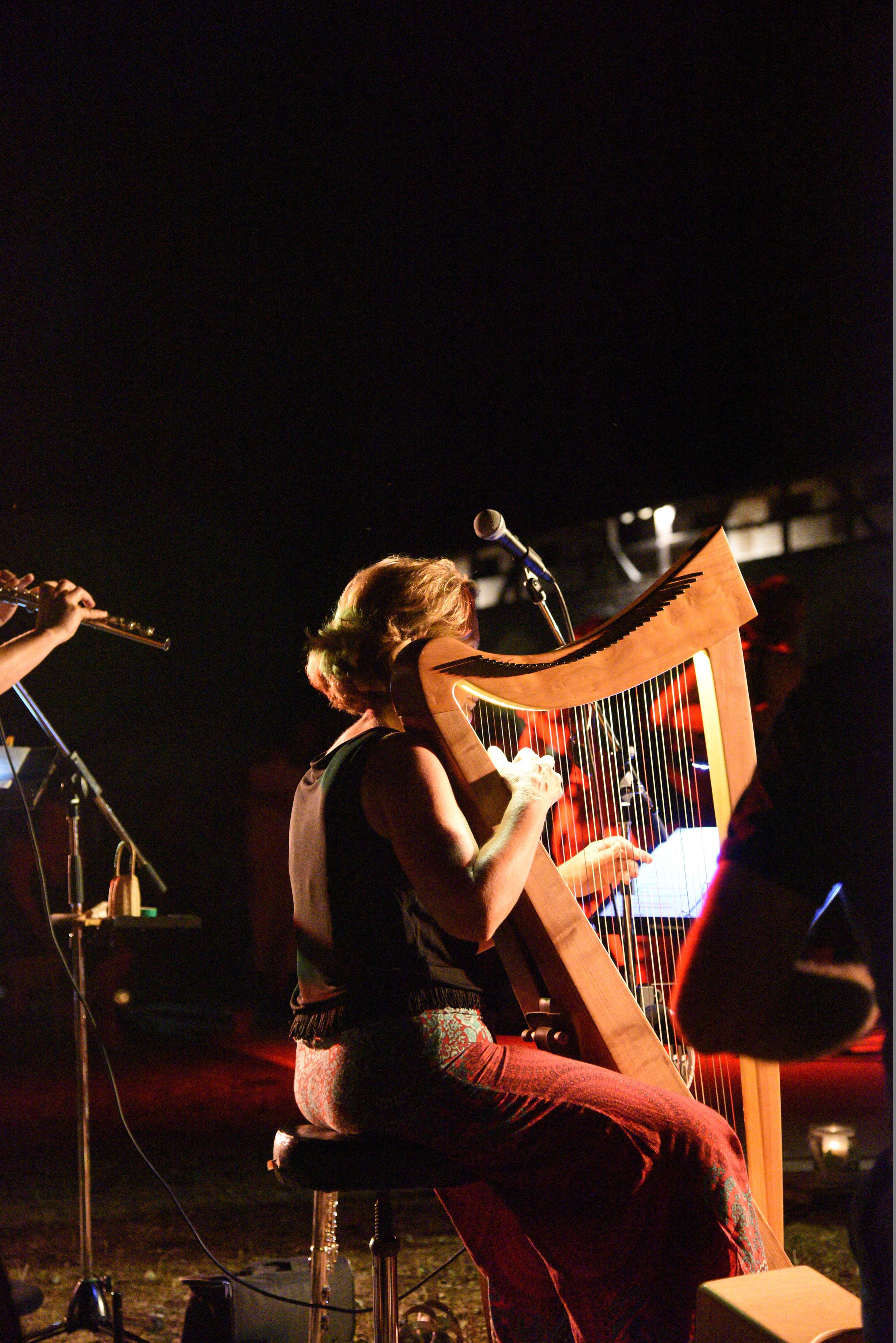 Foto: Georg Seidemann