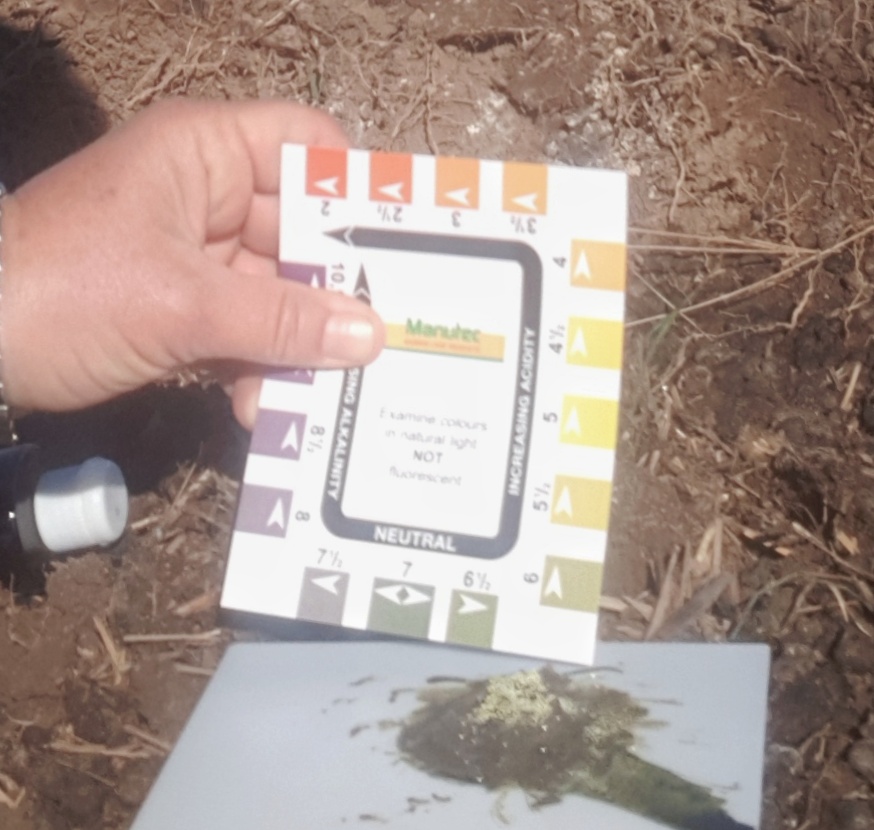 pH 6.5-7 is the goal