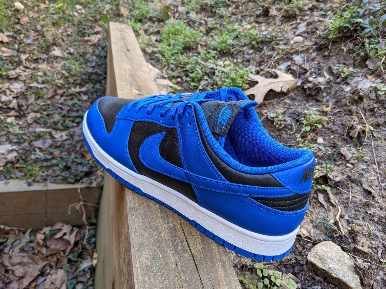 Jordan 1 Low vs. Dunk Low: What's the Difference? - 100wears