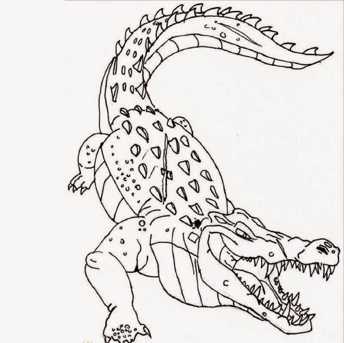 When it gets too hot to play outside, these summer printables of beaches, fish, flowers, and more will keep kids entertained. Easy And Advanced Crocodile Coloring Pages 101 Coloring
