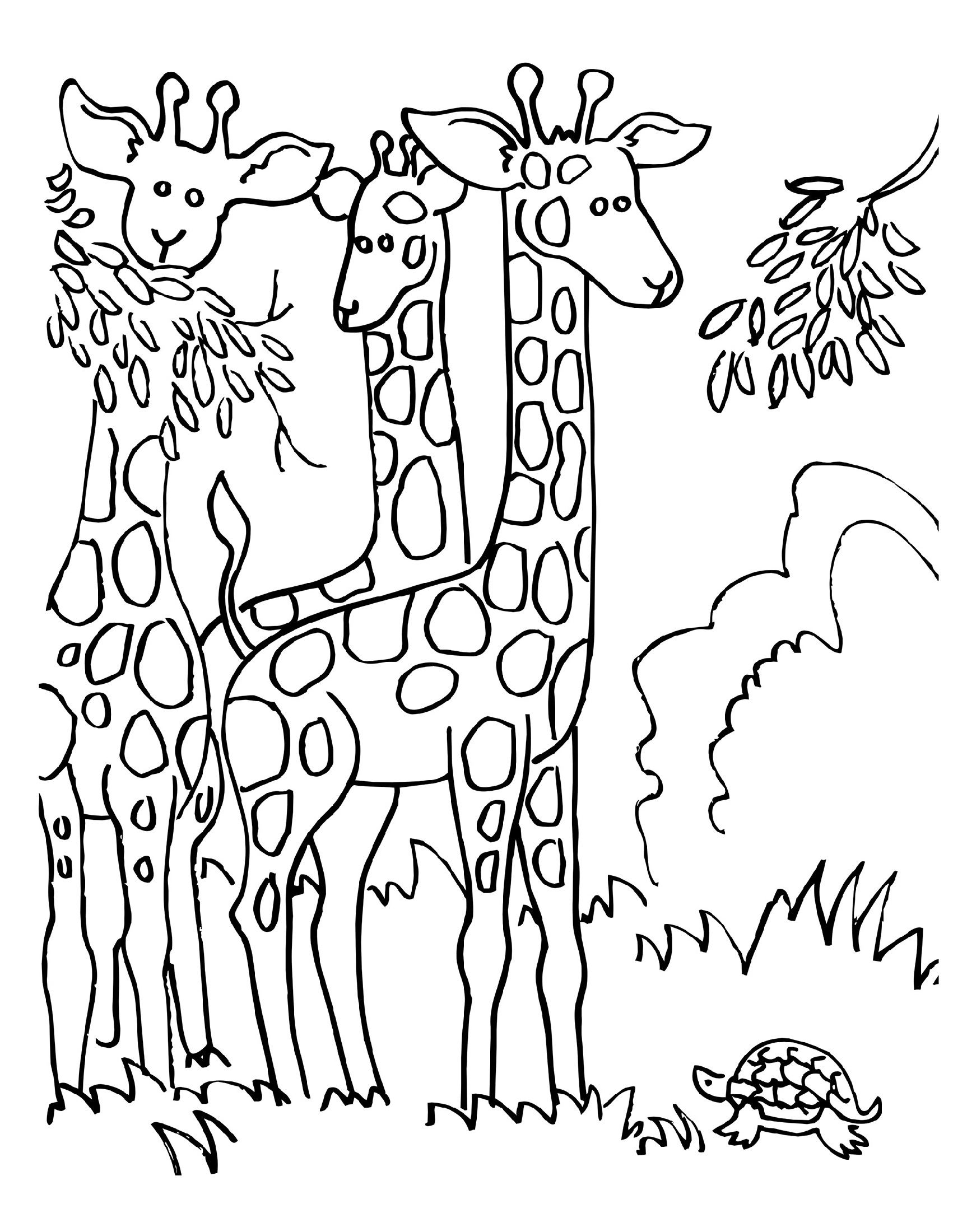 Printable coloring and activity pages are one way to keep the kids happy (or at least occupie. Giraffe Coloring Pages To Print 101 Coloring