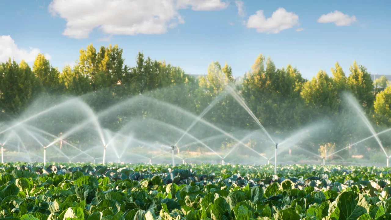 Sprinkler Irrigation