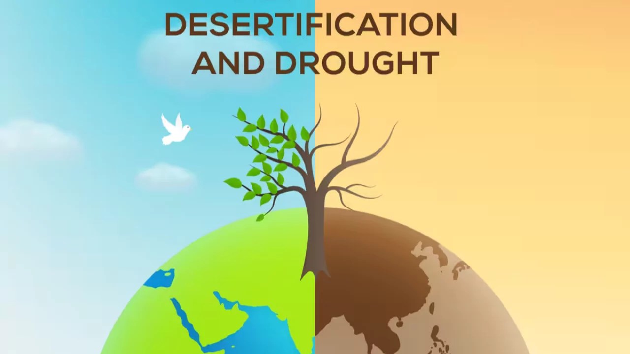 Combat Desertification