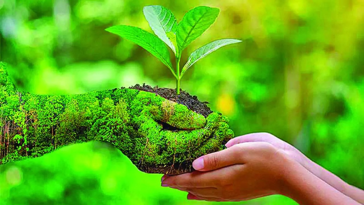 Biodiversity Conservation