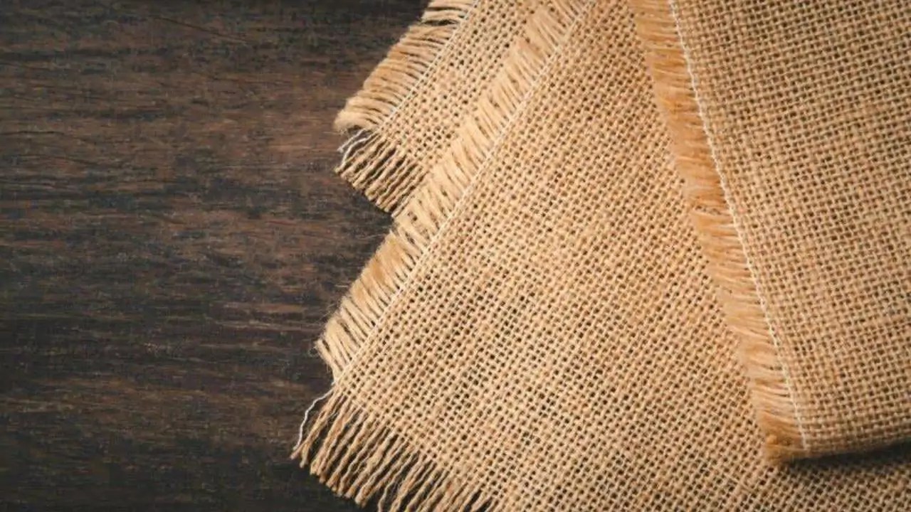 Burlap Biodegradable