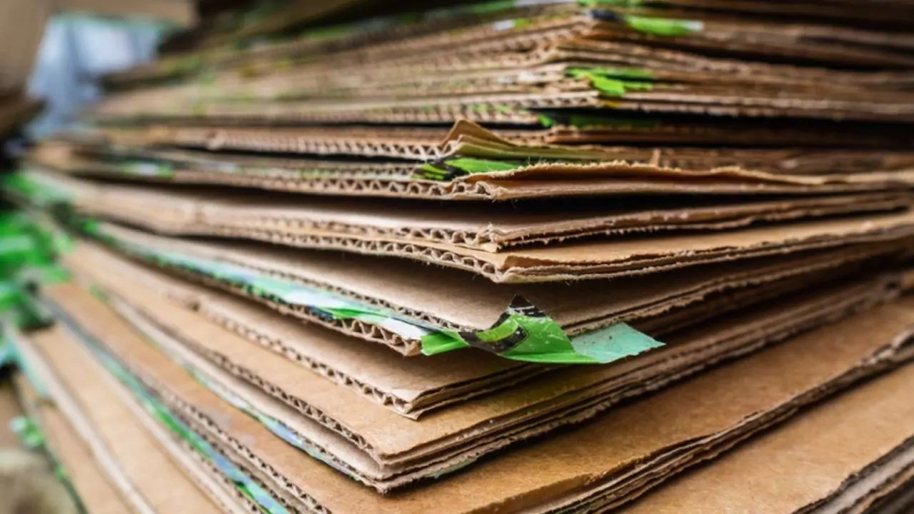 Cardboard Compostable