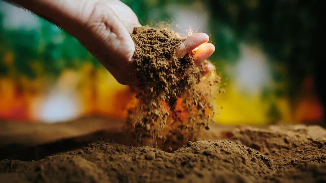 Compost Sand