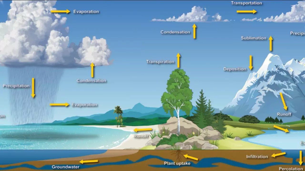 Hydrologic Cycle