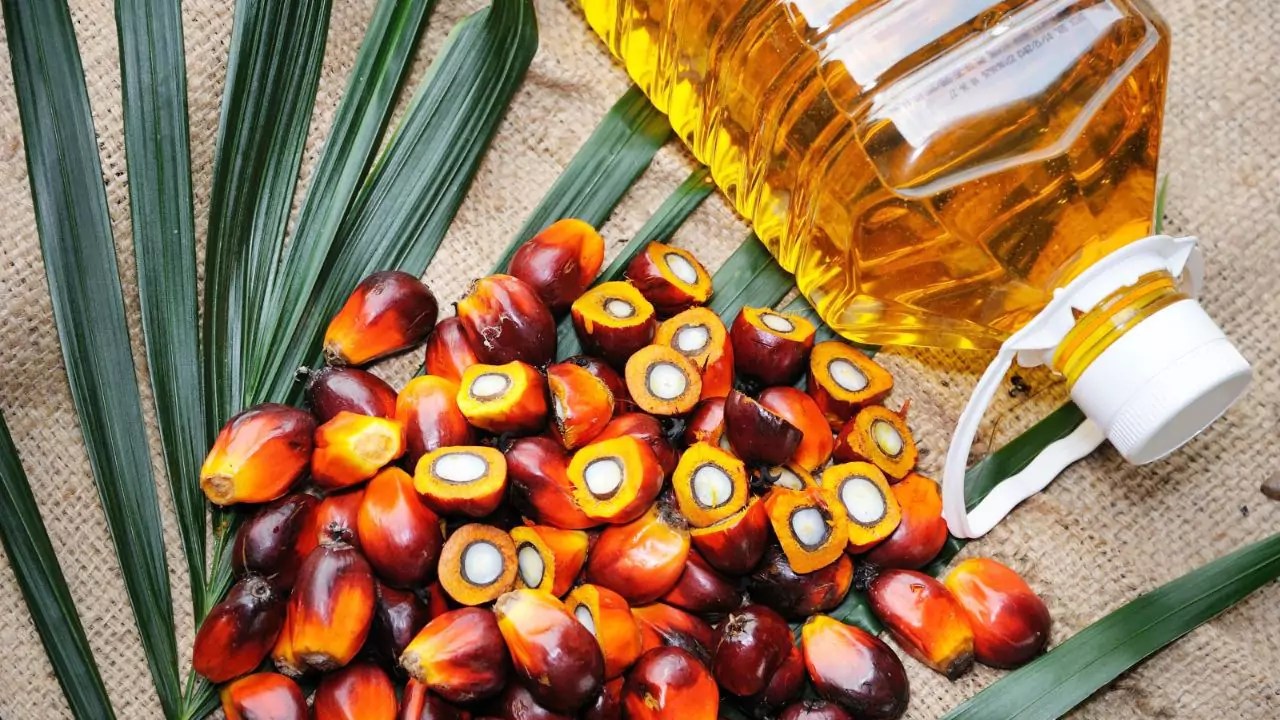 Palm Oil