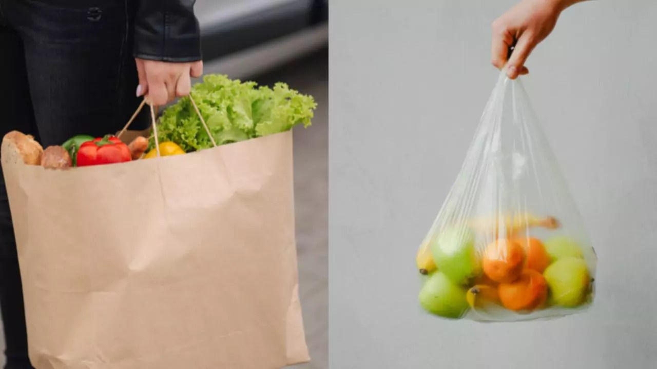 Paper Bags Compostable