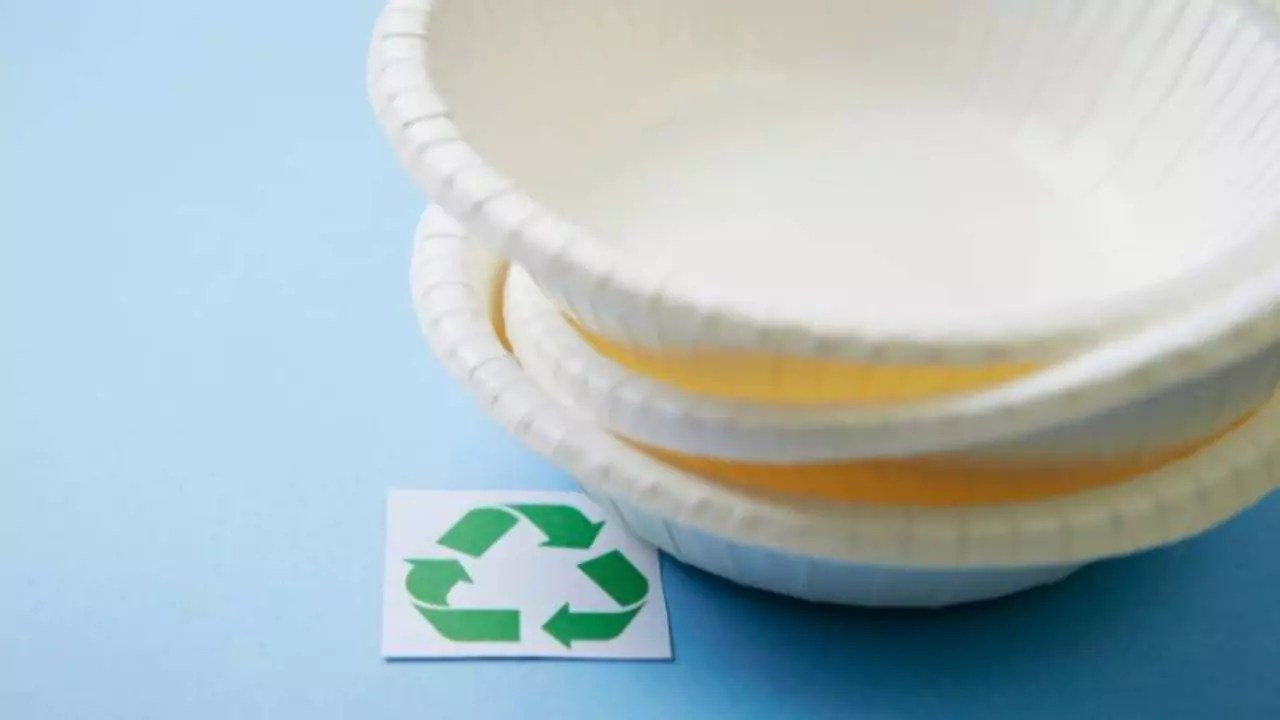 Paper Plates Bad For The Environment