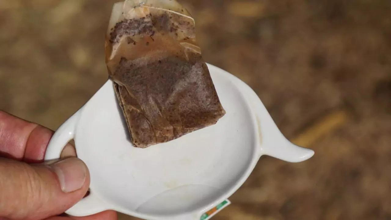 Tea Bags Compostable