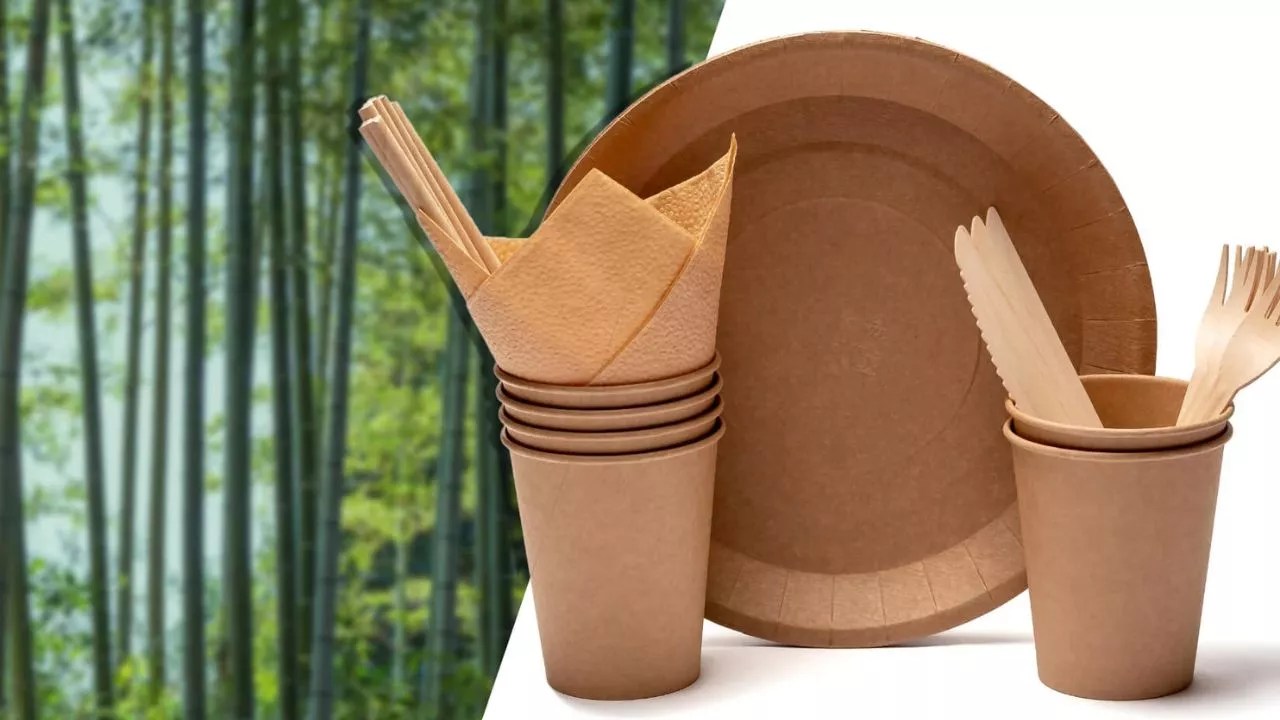 Bamboo Compostable