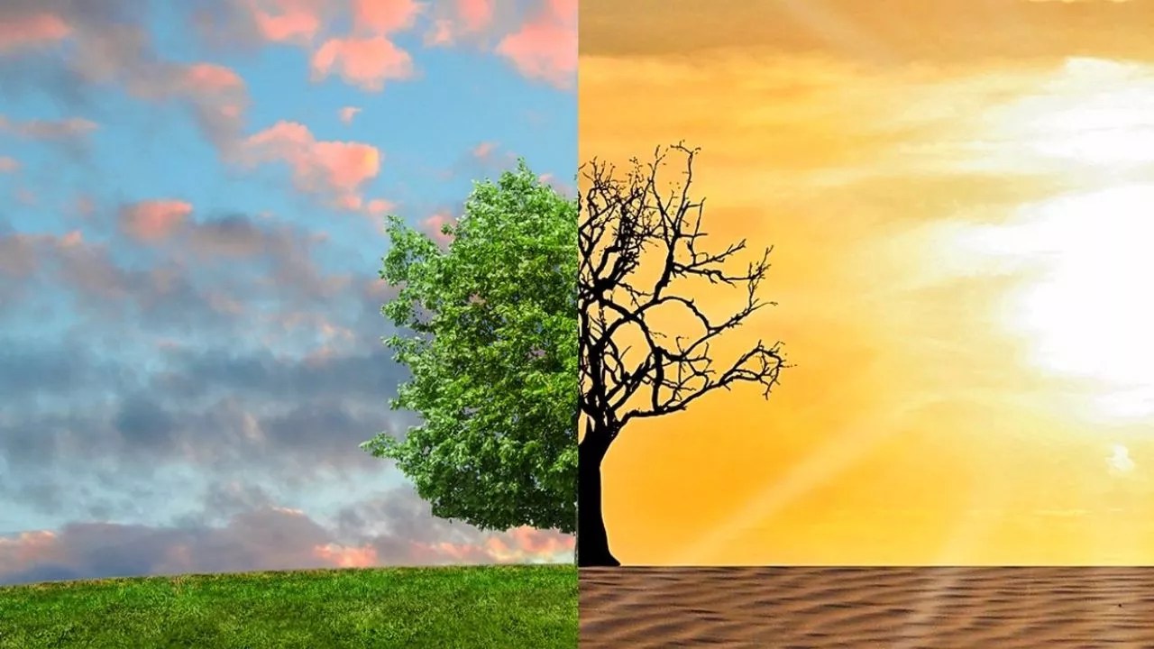 Climate Change on Our Environment