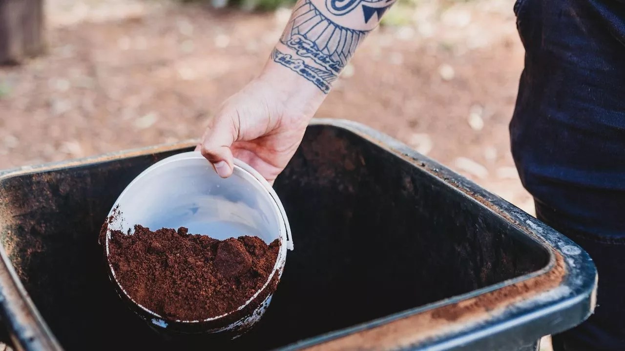 Compost Coffee Grounds