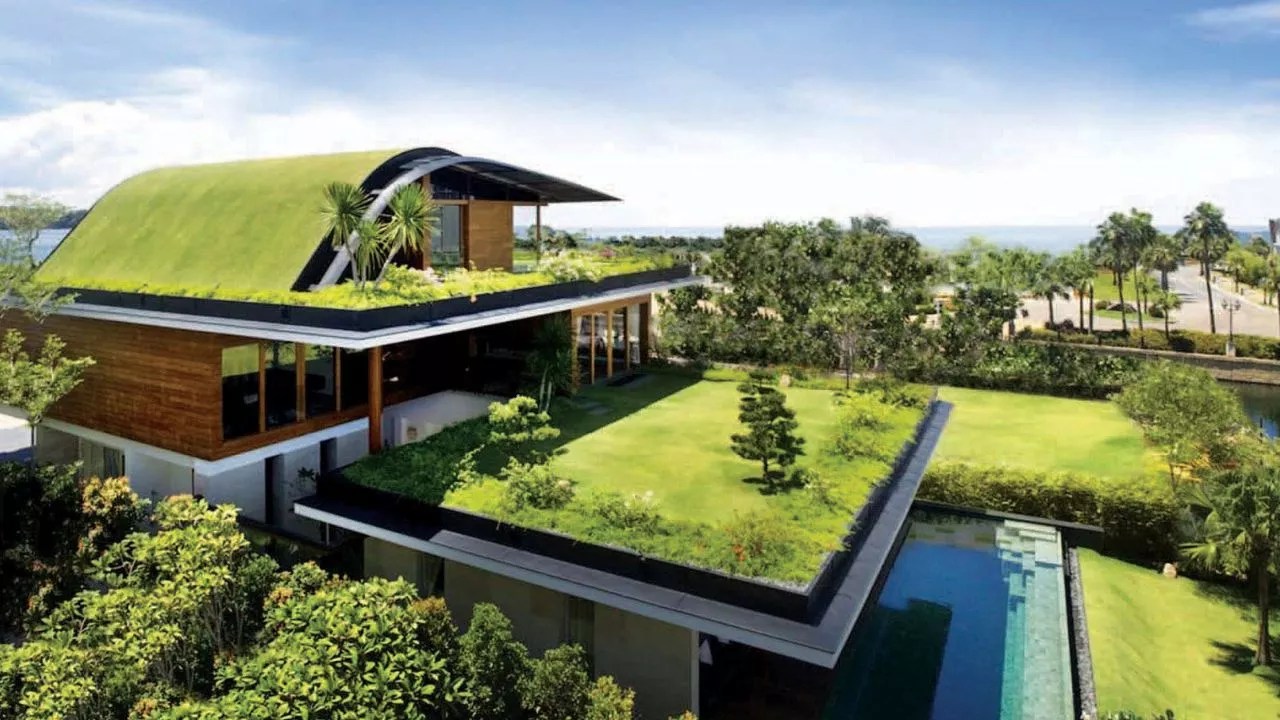Green Roof