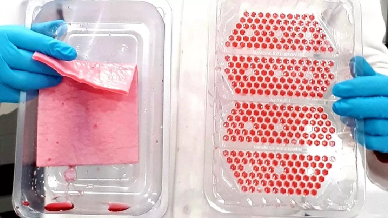 Meat Trays Recyclable