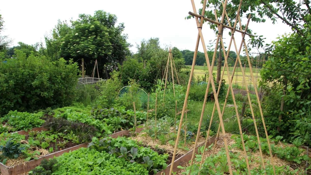 Permaculture