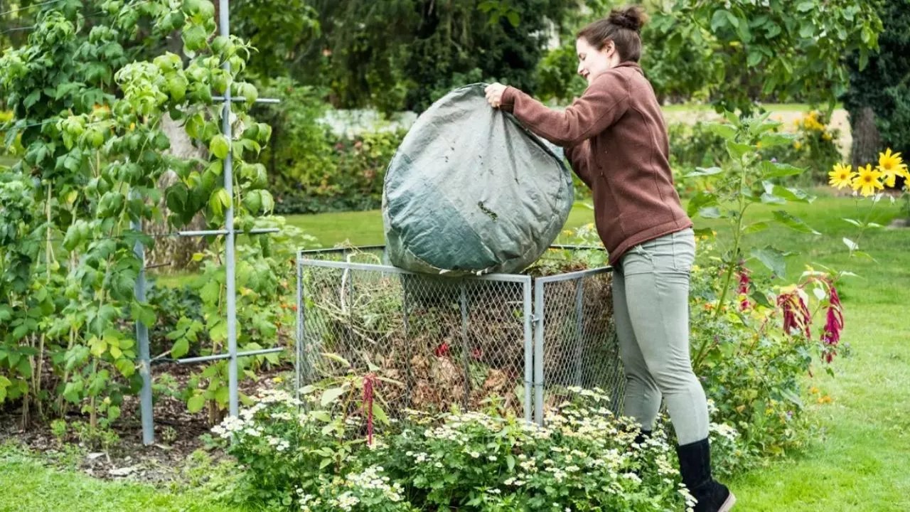 Compost Pile Be in the Sun or the Shade