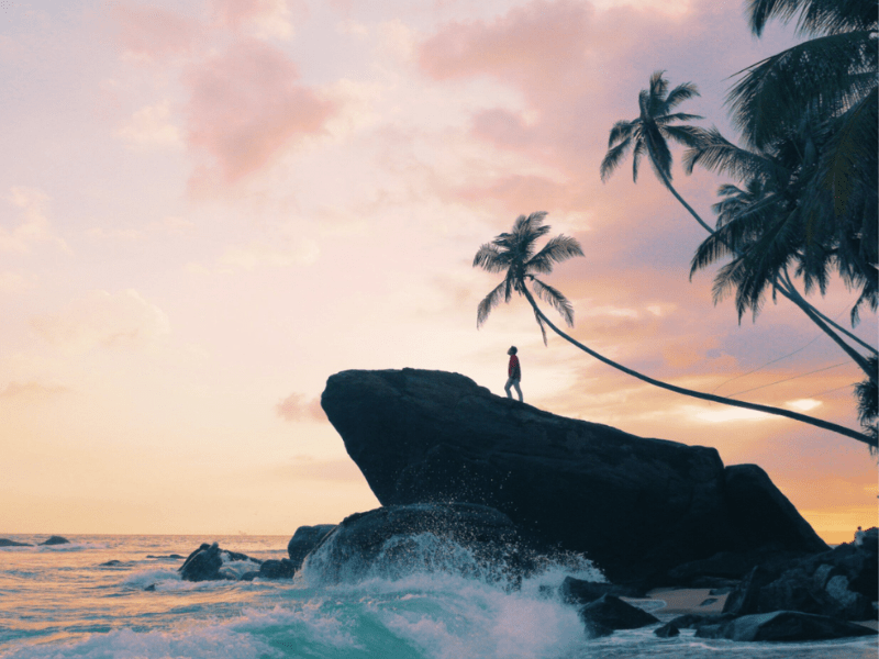 ISLAND HIGHLIGHTS