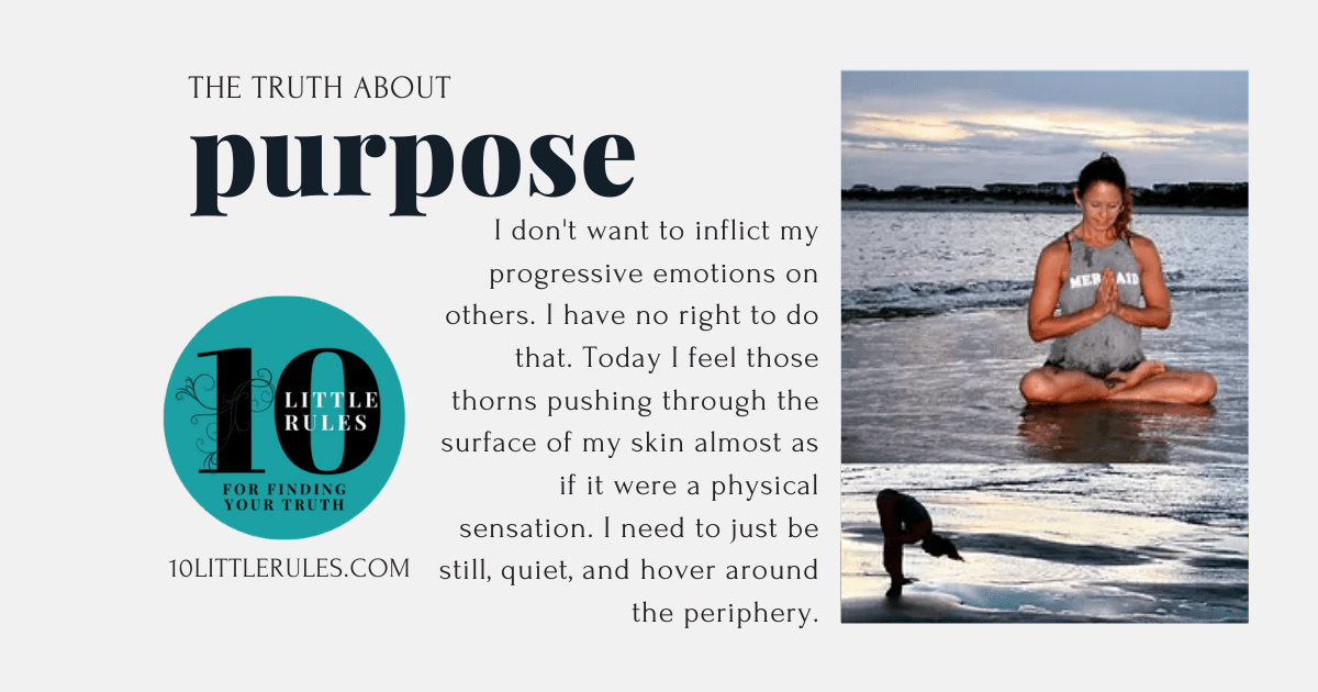 the truth about Purpose