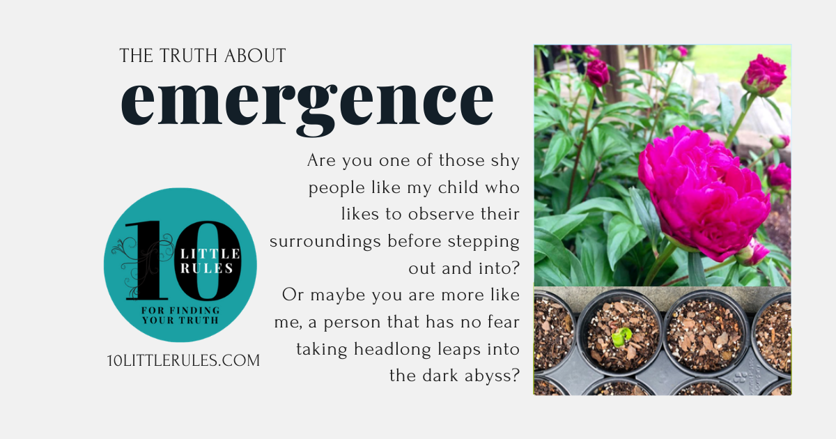 the truth about Emergence