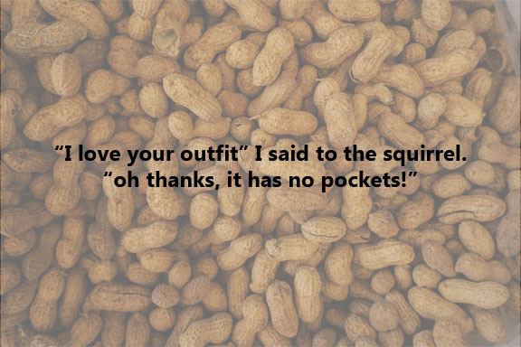 Squirrels Need More Pockets