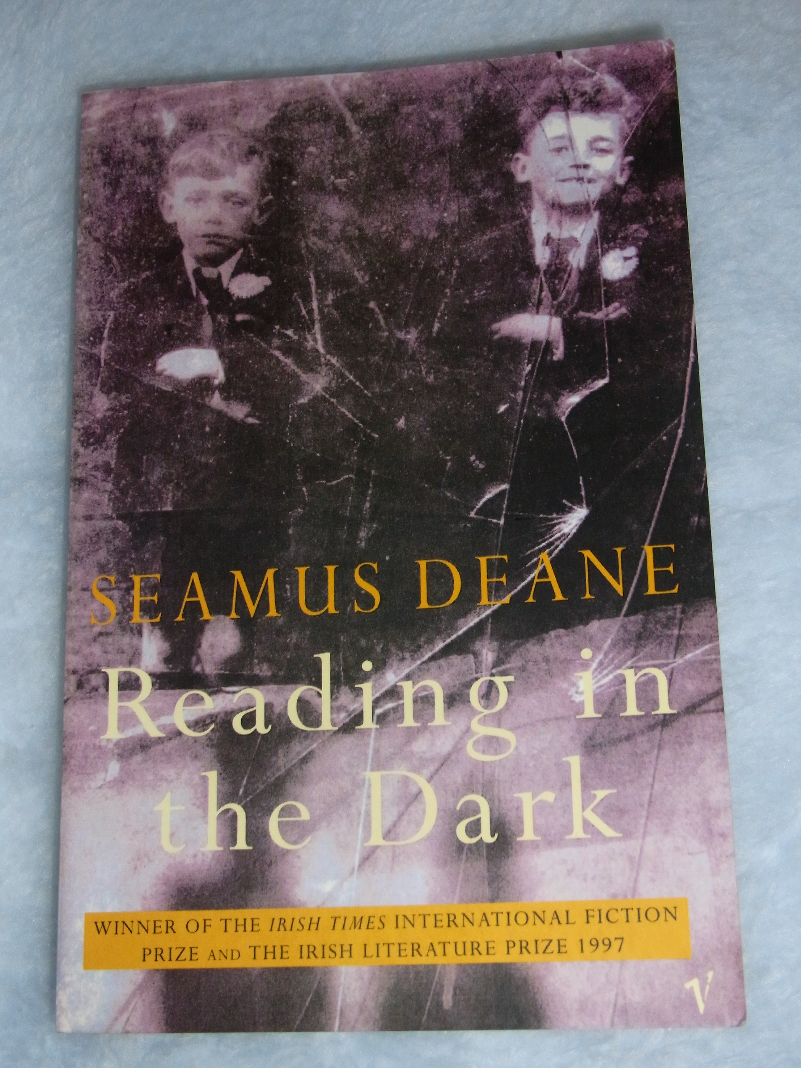 Reading In The Dark Seamus Deane 10mh Net