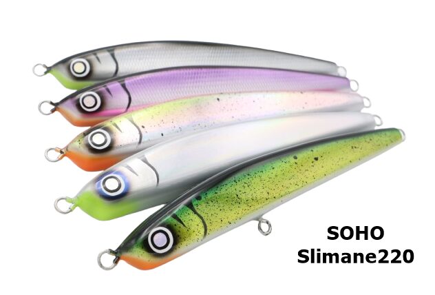 soho ベロニク220 soho ヴェロニク220 SEPTEMBER SESSIONS | FISHING / SURFING