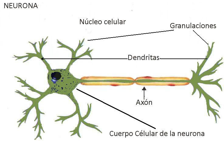 Ver las imágenes de origen