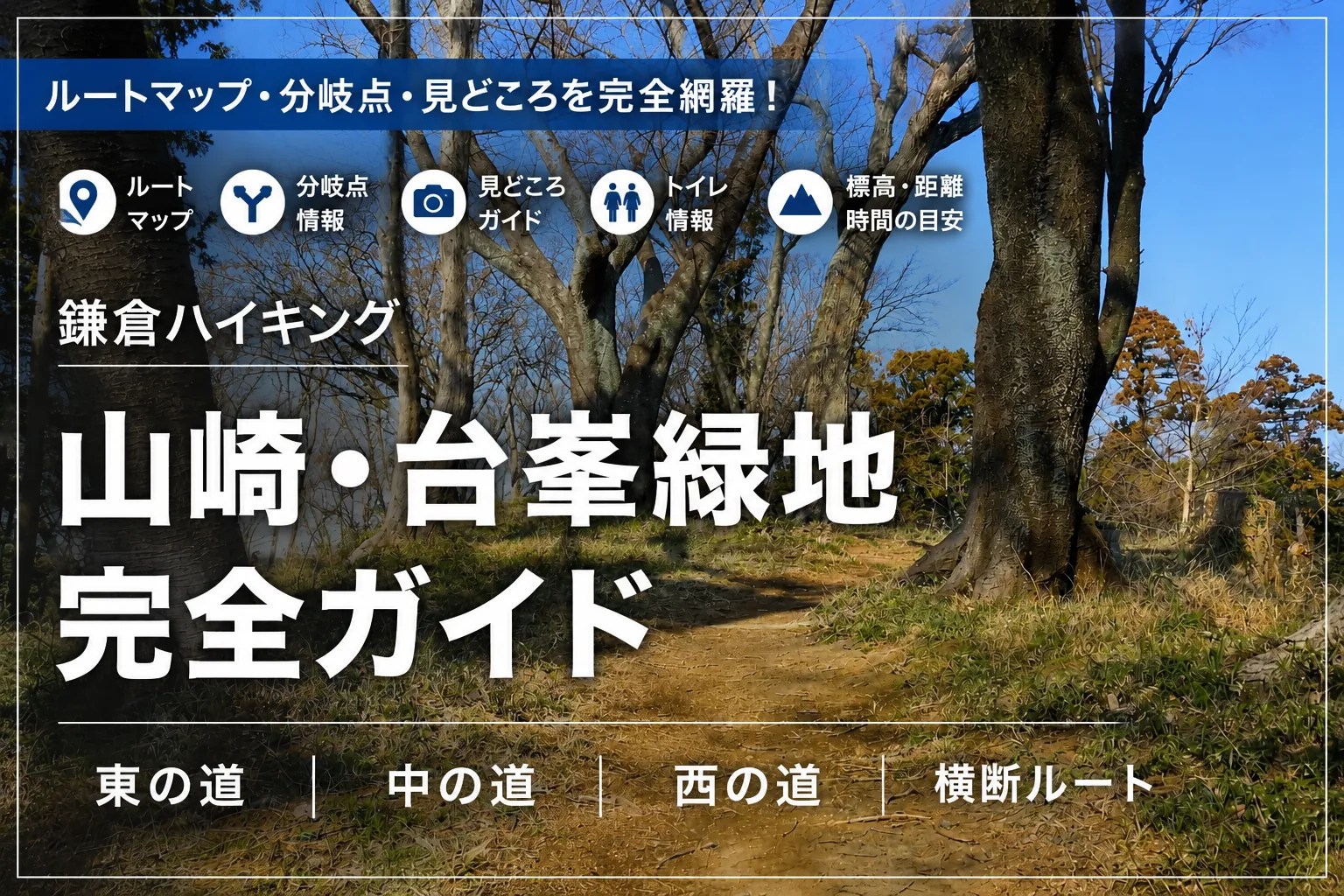 山崎・台峯緑地ハイキング