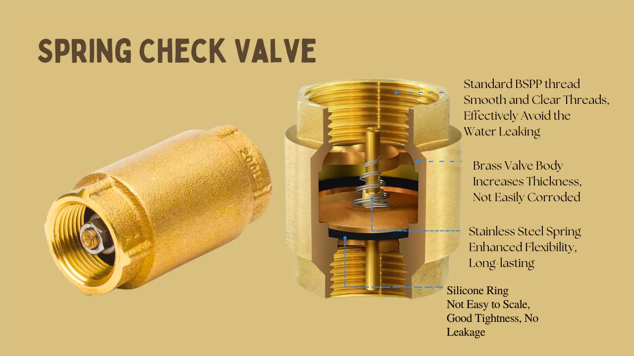 Spring Check Valve