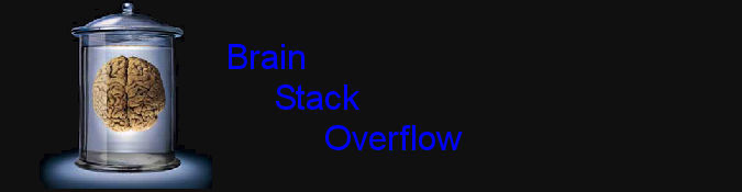 Brain Stack Overflow