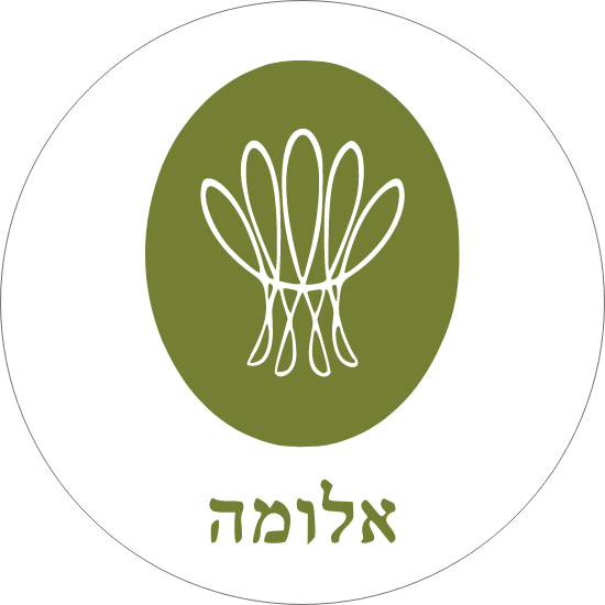 לילך אליזה
