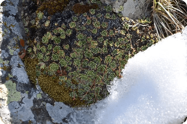 손상된 외장 하드 복구 방법은 무엇인가