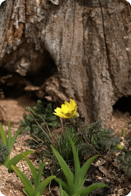 윈도우10 절전모드 해제하는 법은?